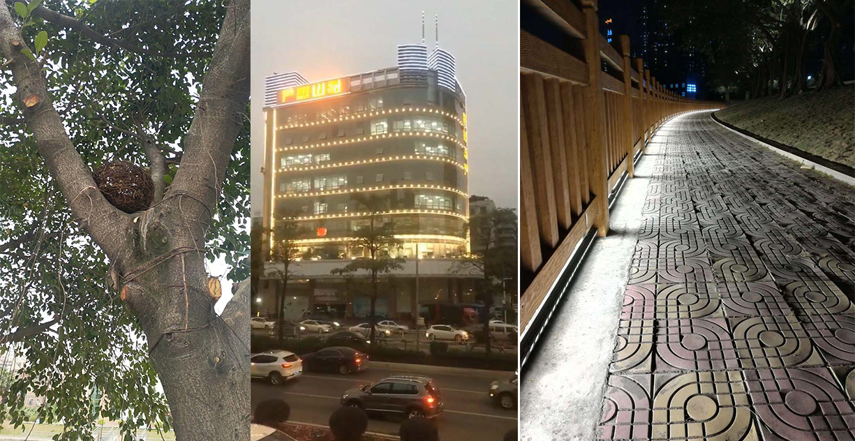 湖南彩藝光電科技有限公司,長沙光電科技,光電產品生產企業(yè),LED顯示屏銷售,雙色顯示屏生產